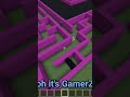 I build minecraft most Mind blowing mazes #lockdownlife #minecraft #shorts #fypviral #fypシ゚viral