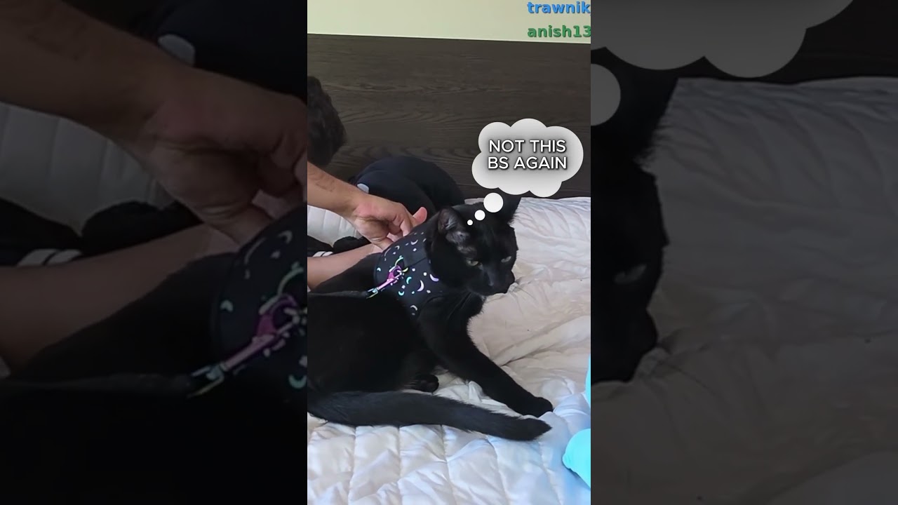 Ron x Burger x Boba Core