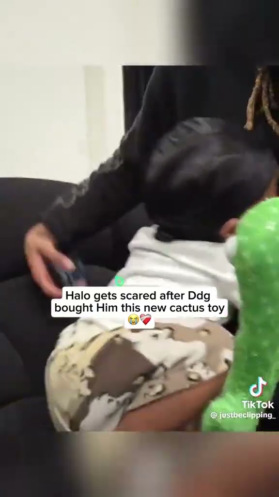 Halo gets scared after DDG buys him the cactus toy #hoodnews #ddg #halo #cactus #lol #how #toys #toy