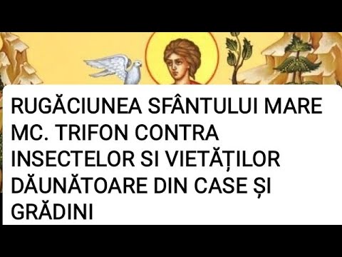 Video: Ce este un trofon?