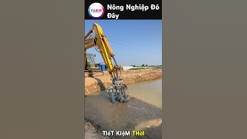 Đầu bơm này lắp vào xe xúc là hút sạch ao trong vài nốt nhạc #nongdan #shortvideo#farming#nongnghiep