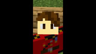 Minecraft book author in action... #shorts