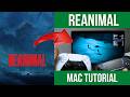 How to play REANIMAL on Mac (Co-Op)