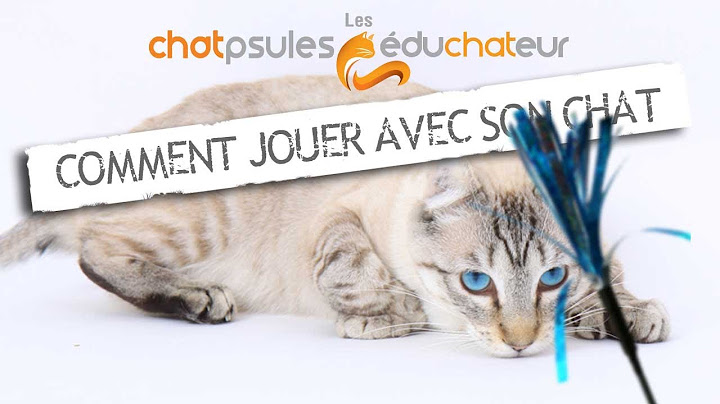 Technique de jeu