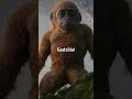 Cookie jar Godzilla meme