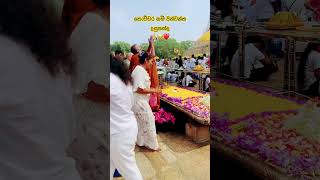 සිත නිවන දසුනක් මහා සෑයේ🙏🥹❤️☸️#buddha #trending #ruwanweliseya #anuradhapura #srilanka #shorts