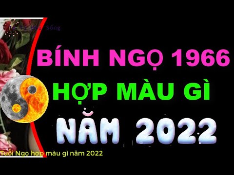 Tuổi Bính Ngọ Hợp Màu Gì - Tuổi Bính Ngọ 1966 hợp màu gì 2022 để mang đến MAY MẮN