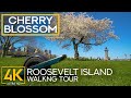 Spring Ride on Onewheel Pint through Roosevelt Island - 4K New York Views &amp; Beautiful Cherry Blossom