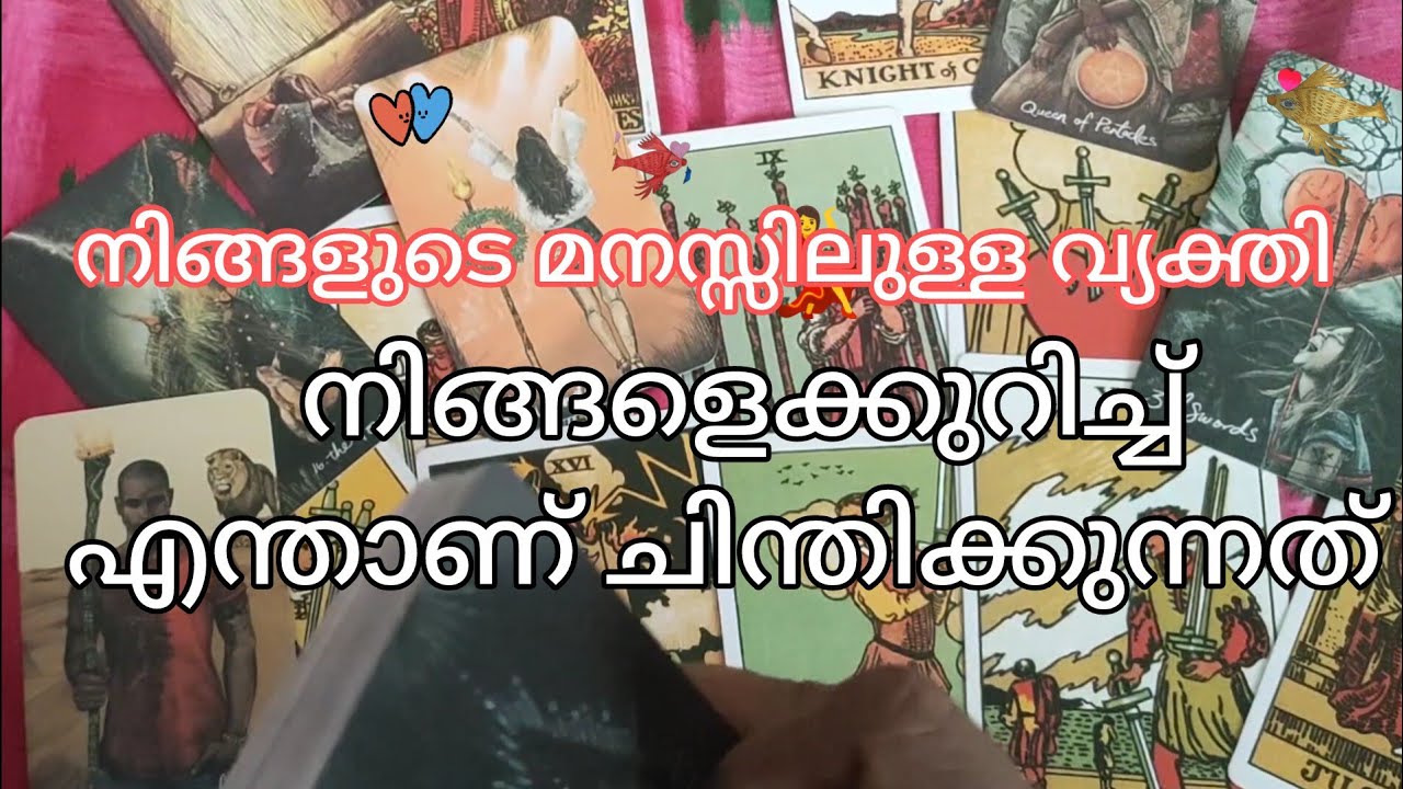 Relationship reading Malayalam💕Love Reading 
