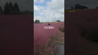 #안성 #팜랜드 #치유음악  #백색소음