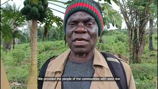 Farm Manager Of Kesseh Farm