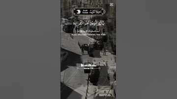 سورة التوبه القران الكريم بصوت جميل #القرآن_الكريم #المصحف #اكسبلور #دويتو