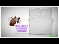 Why Do Stink Bugs Stink?