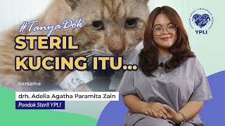 YPLI #TanyaDok STERIL KUCING ITU bersama drh  Adelia Pondok Steril YPLI