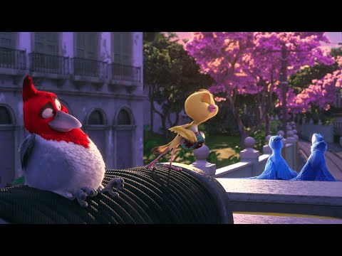 Rio🐦- Ararinha Letra