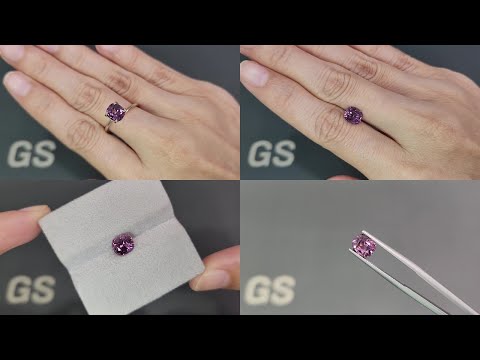 Purple spinel cushion cut 1.60 carats, Vietnam Video  № 1