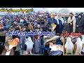 جمعه بازار چمن حضوری کابل دوچپ بازار کفتر های کمیاب Pigeon Lovers Kabul Latest Update 