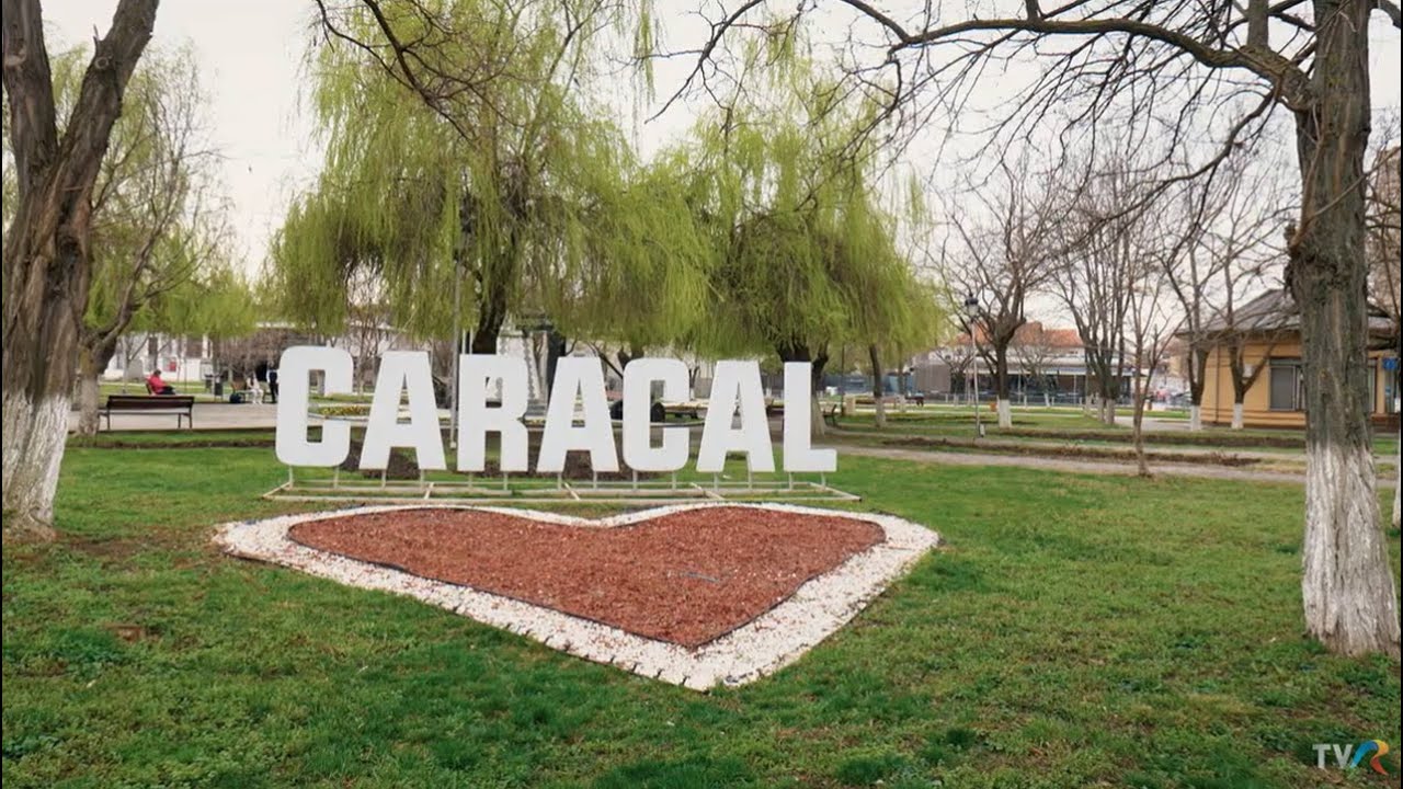 Exclusiv în România: Povestea „căruţei cu proşti” răsturnată la Caracal (@TVR1)