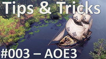 AOE3 - Tips and Tricks #003 - How to use Town Centre Fire! With Interjection