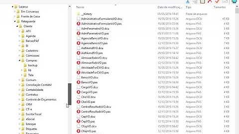 T2Ti ERP 2 0   Lazarus   Infra 2   06 Conversor Delphi   VO