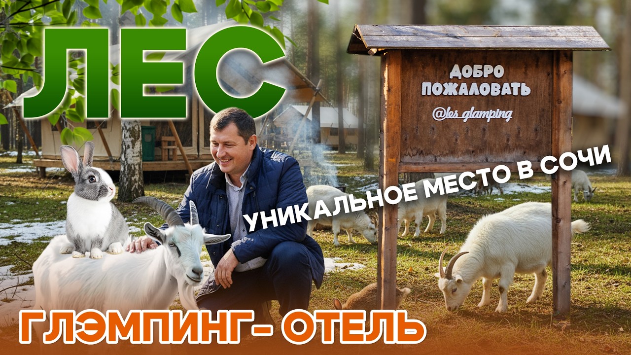 Случайная находка в горах: Глэмпинг «Лес» (Сочи, село Чвижепсе) очаровал меня ❤️