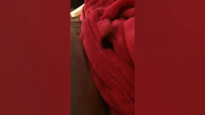 Kiki the happy chihuahua!