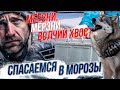 Как мороз влияет на здоровье? / Когда заводиться не стоило? | Стрим ОТС LIVE — 14 декабря