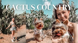 A DAY IN THE LIFE OF A YORKIE PUPPY | ROAD TRIP TO CACTUS COUNTRY | Melbourne Vlog