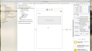 Celebrity 8 Wordnik Page View Controller 1 Wealth