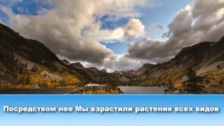 Мухаммад аль Люхайдан - Сура 6 «АЛЬ-АНАМ» («СКОТ»),95-103