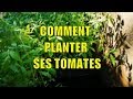 Planter ses tomates 🍅🍅🍅