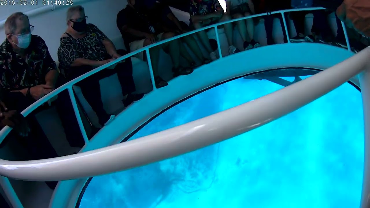 oculus glass bottom boat tour