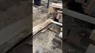 Rotating the log! Such pretty wood! White oak! #tree #lumber #iowa #woodworking #wood #log #fun