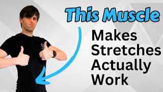 The Muscle That Makes Stretching More Effective | A Must-Know for Hip and Back Pain Relief! screenshot 3