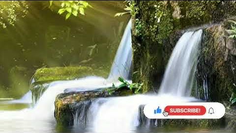 القارئ سامي عبد الرحمن  الكردي   سورة  الملك