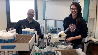 Summer Undergraduate Research Vocation Experience (SURVE)