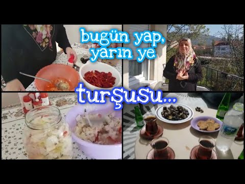 Video: Domates Notaları. Bölüm 1