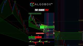 A Wonderful Trade: Shark Back  AlgoBox for NinjaTrader Day Trading Futures