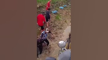 Đi bắt chuột đồng gỗ #duet #emcobanglongvequemecunganh ￼￼