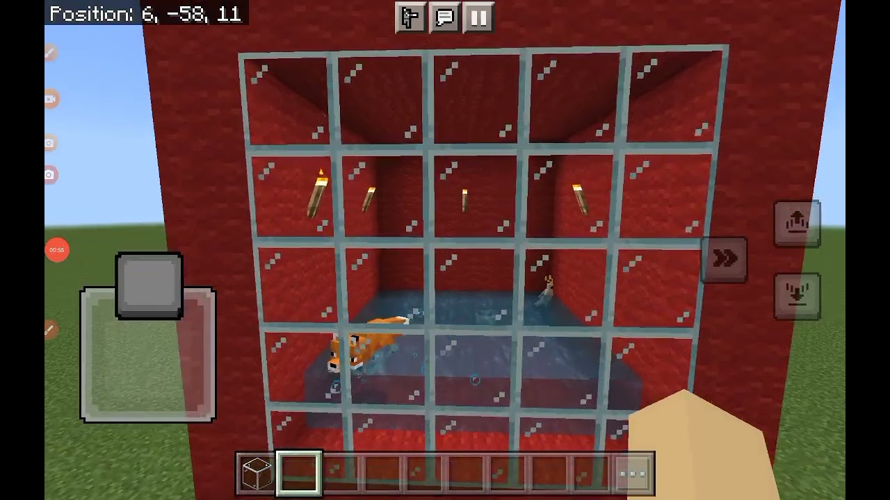 В Майнкрафте была старушка, которая затопила попугая.