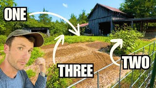 The 3 Bulletproof Homestead Crops I Don't Need To Water