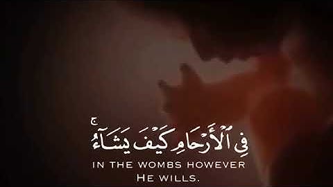 القران الكريم | تلاوة قصيرة من سورة ال عمران |القارئ عبد الرحمن مسعد 🎧🖤