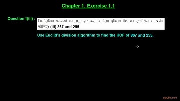 Hindi - Ex 1.1: Q.1(iii) : Use Euclid