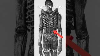 Rare Photos You Were Never Supposed to See Part 313#rarephotos#short#mystery