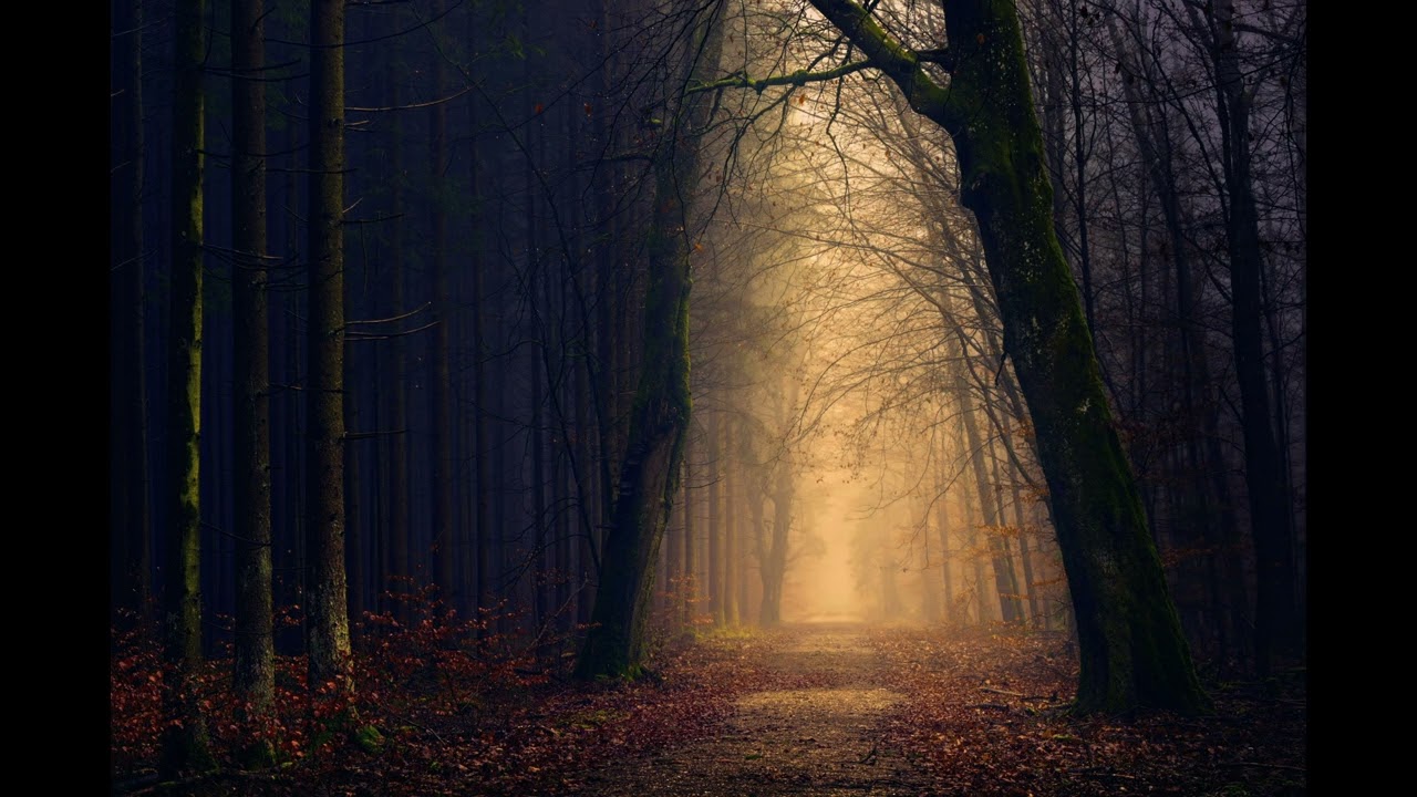 Eden slowed + reverb   NXCRE & The Villains