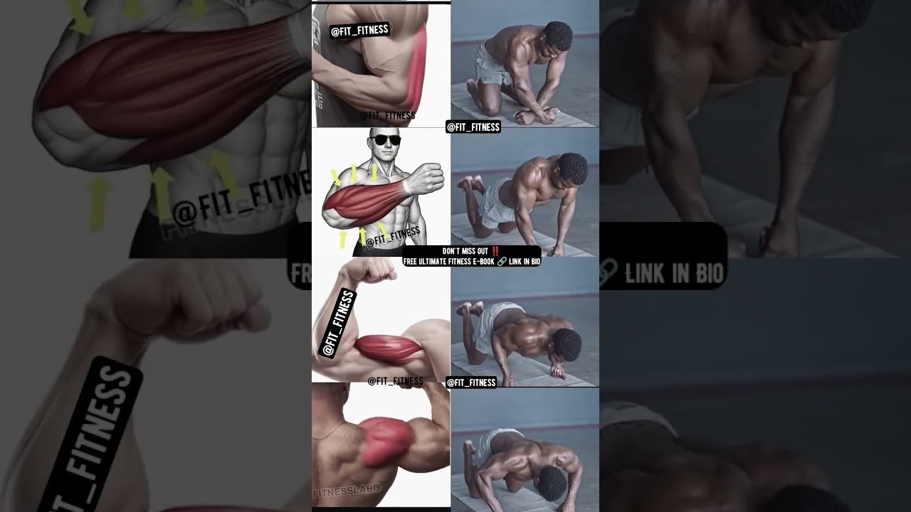 Upper body-build it at home SAVE 🔥💪#gym #bodybuilding #abs #sixpack #workout #share #homeworkout #yt