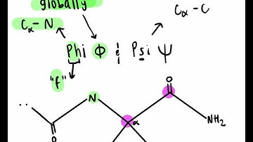 Phi angle, psi angle