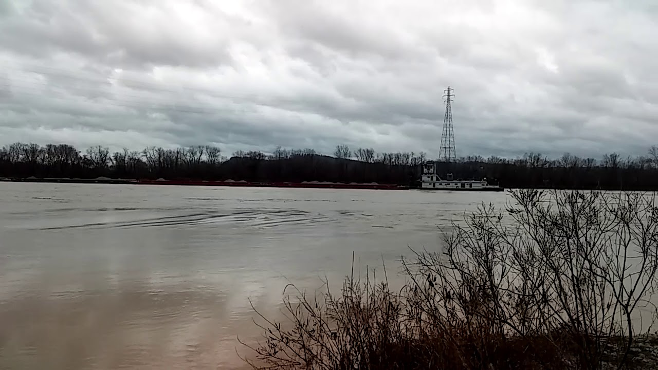 The Ohio river near sciotoville is five feet from flood stage.