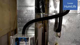 Condair HumiLife - Whole-Home Steam Humidifier, Steam Line & Distributor