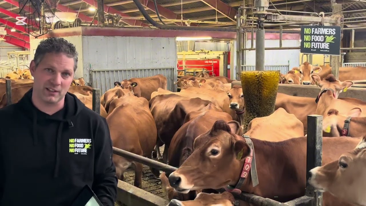 Wesley Van Ruitenbeek tells about BOVAER PROBLEMS